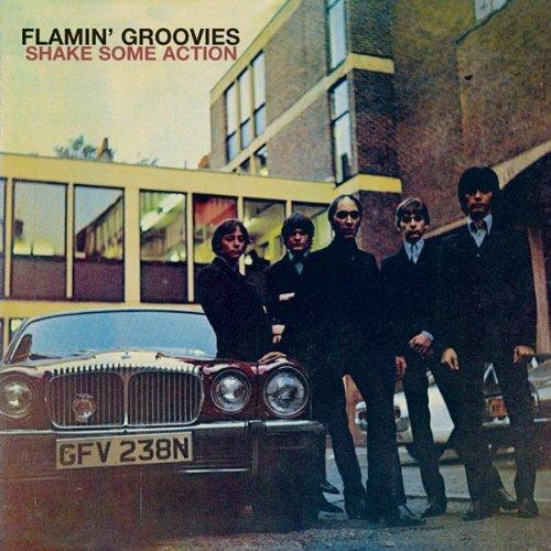 flamingroovies.jpg